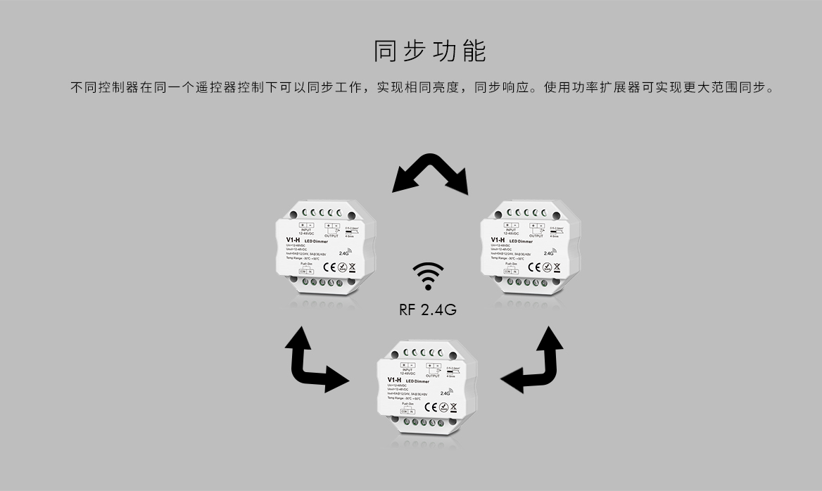 新港奥宝典